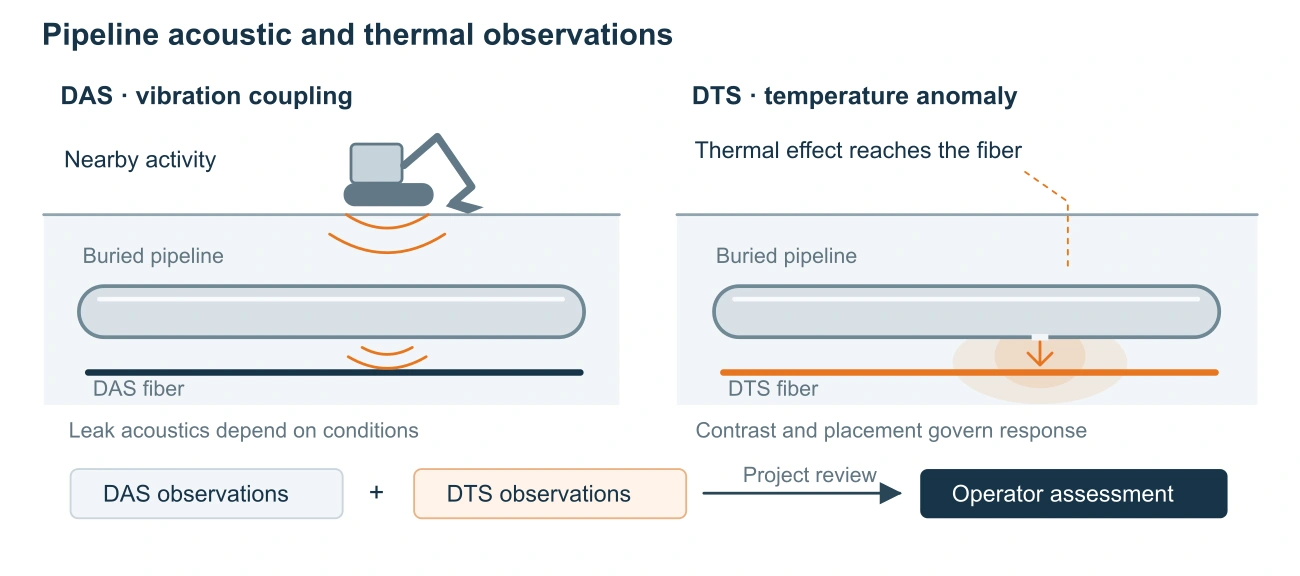 Buried pipeline section with distinct DAS vibration and DTS thermal sensing routes, nearby ground activity and a local temperature change